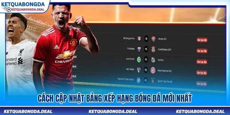 Hướng dẫn xem bảng xếp hạng bóng đá mới nhất