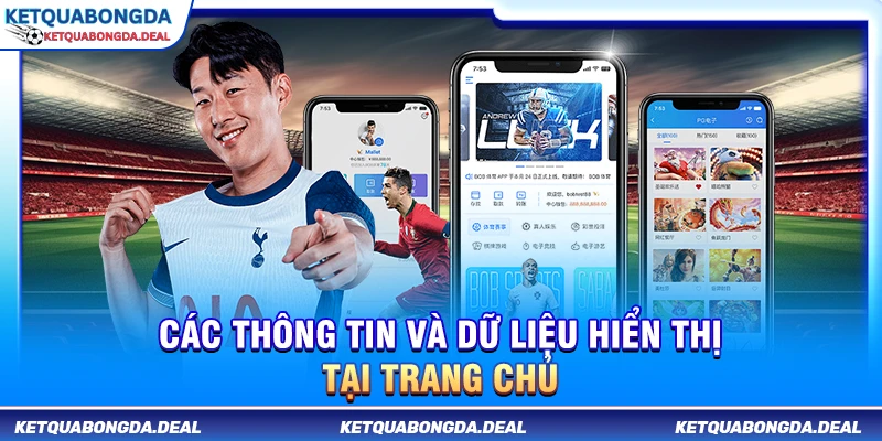 Các thông tin và dữ liệu hiển thị tại trang chủ