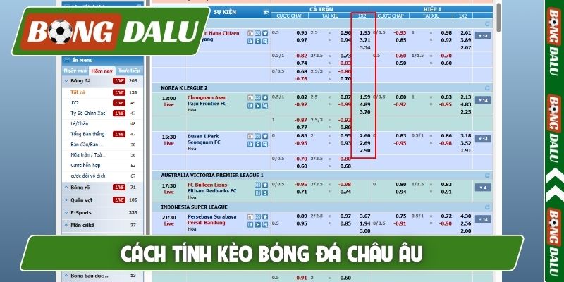 Cách tính kèo bóng đá châu Âu