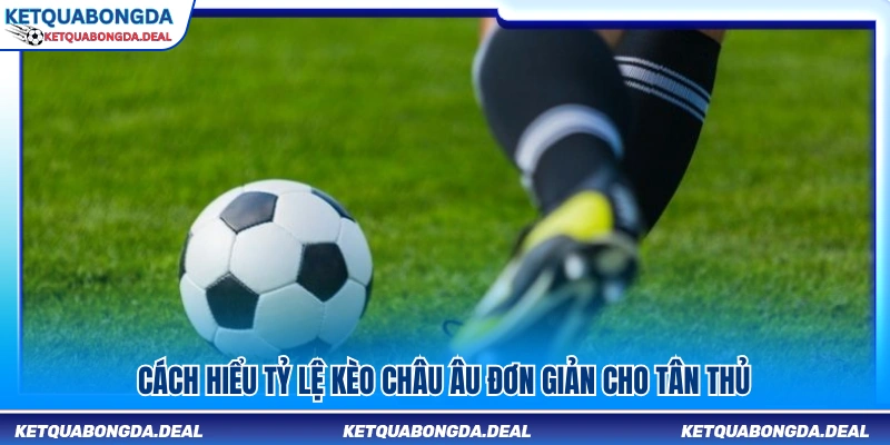 Cách đọc kèo châu Âu đúng và hiệu quả