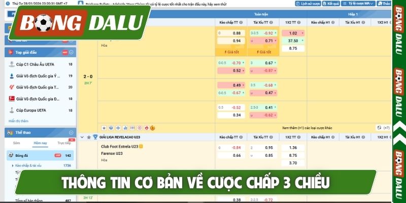 Thông tin cơ bản về cược chấp 3 chiều