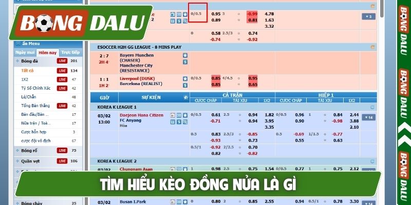 Tìm hiểu kèo đồng nửa là gì