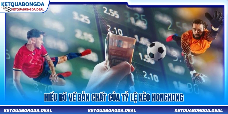 Tìm hiểu bản chất của tỷ lệ kèo HongKong