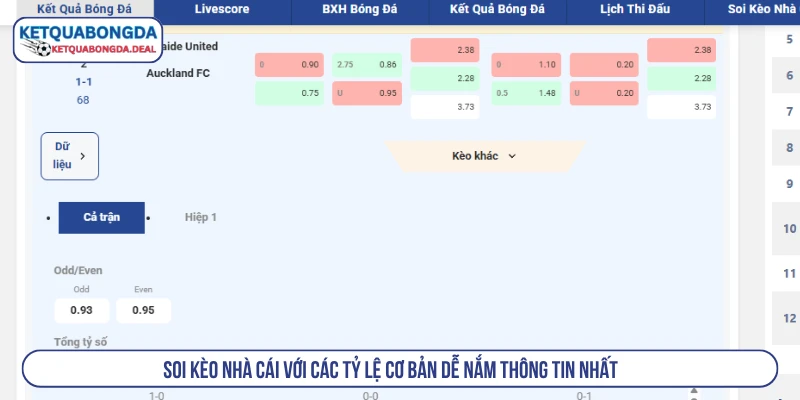 Soi kèo nhà cái với các tỷ lệ cơ bản dễ nắm thông tin nhất